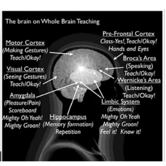 Whole Brain Teaching for Challenging Kids: (and the rest of your class, too!) - Picture 3 of 7